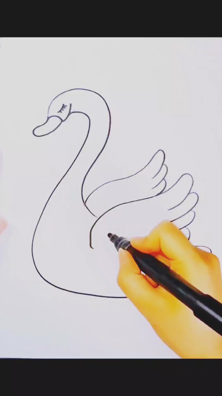 简笔大天鹅,几步成画