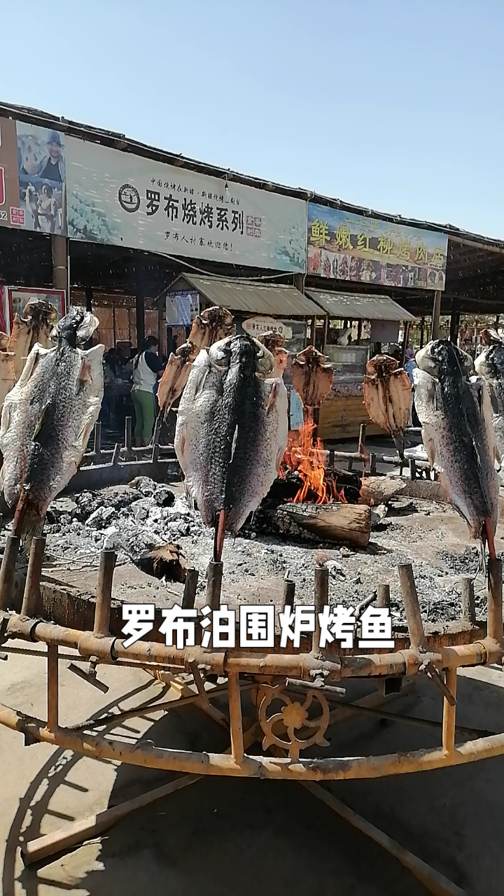 罗布泊维吾尔族围炉烤鱼