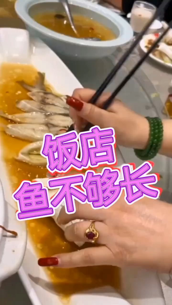 惊人长度!看这鱼有多长,这就是拼盘的重要性