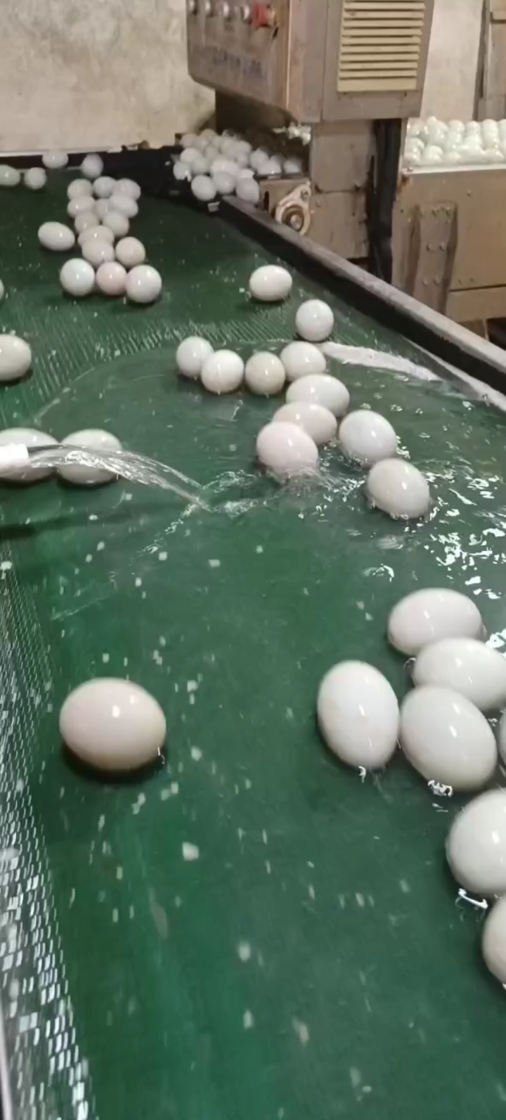 这个咸鸭蛋先洗出来洗干净,洗干净以后他才能打蛋黄。谢谢大家在
