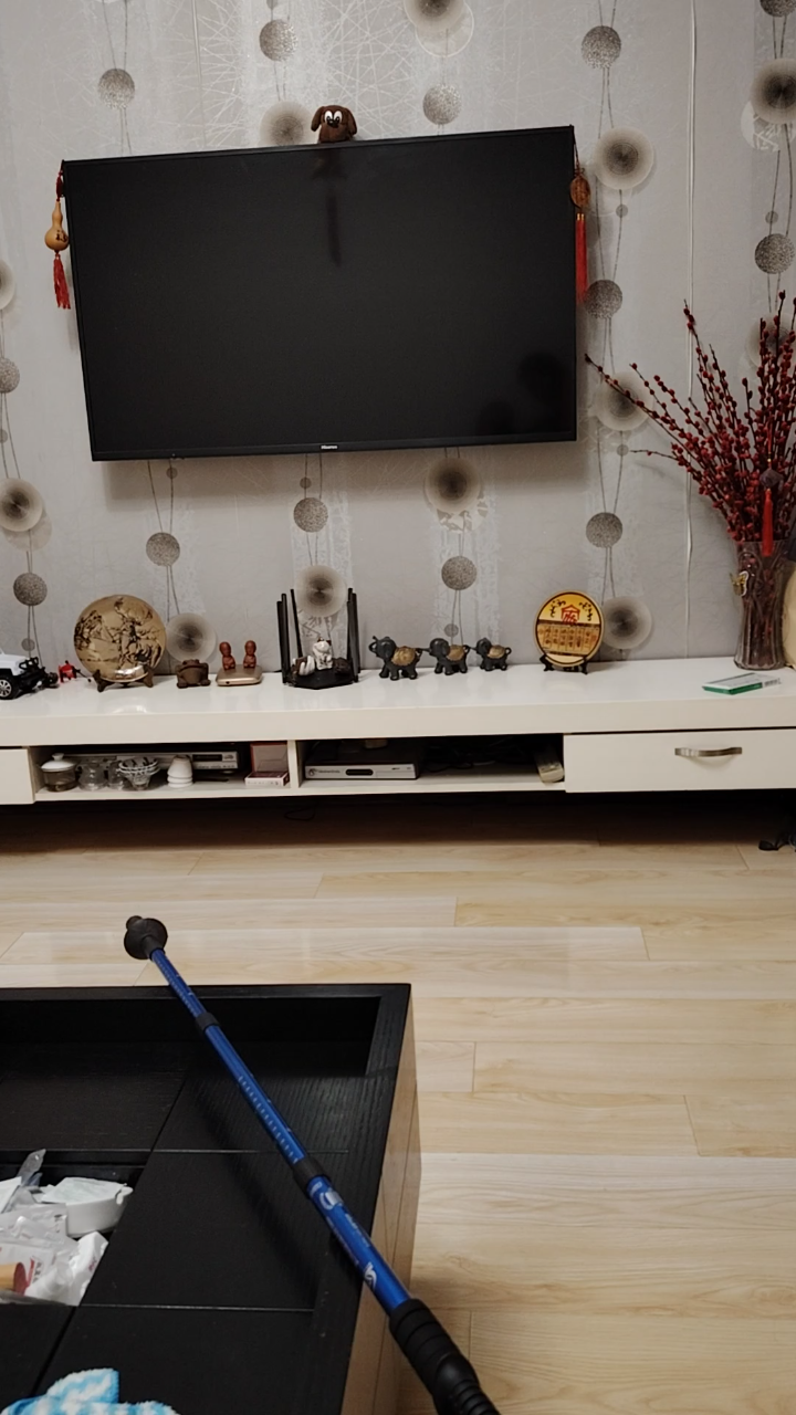 沙发电视茶几鱼缸