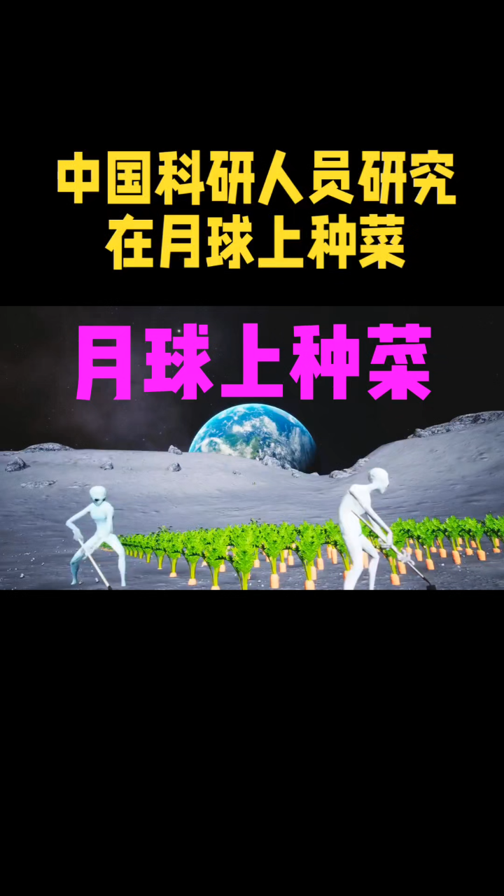 中国科研人员研究在月球上种菜