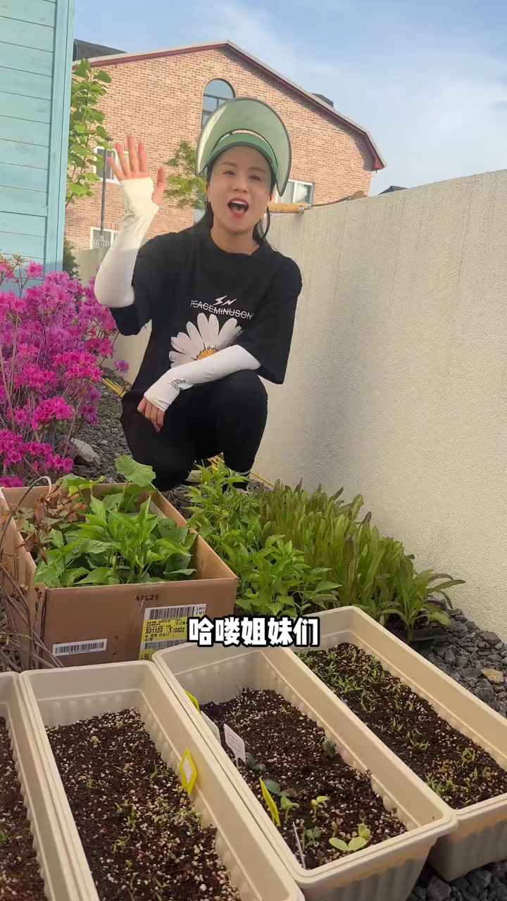 Coco的蔬菜王国大揭秘