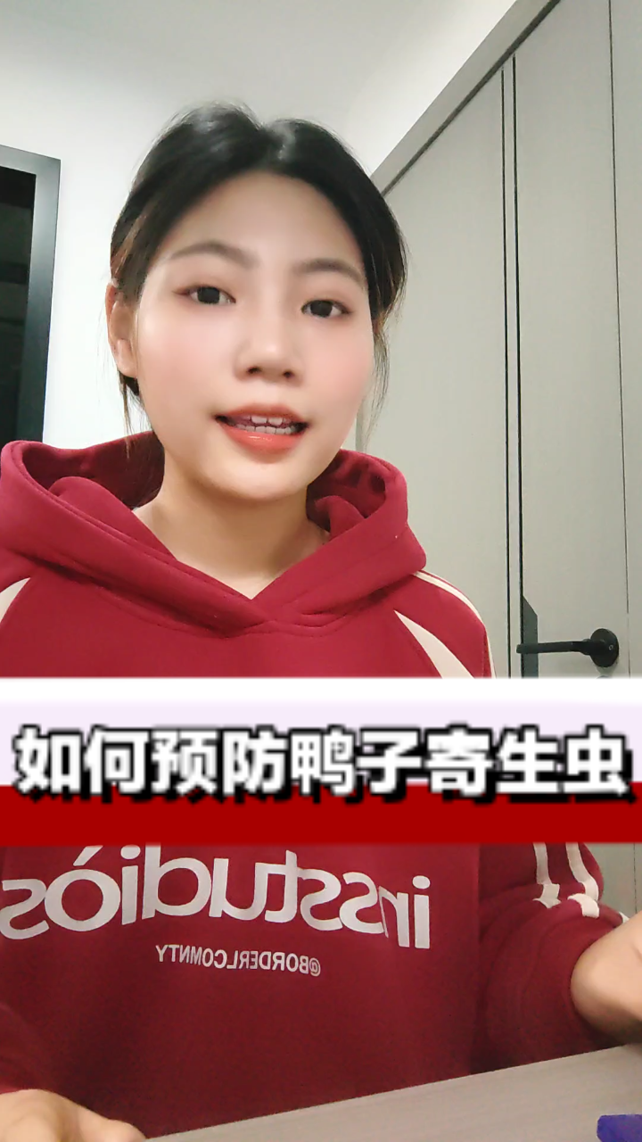 防鸭寄生虫:切断传播是关键