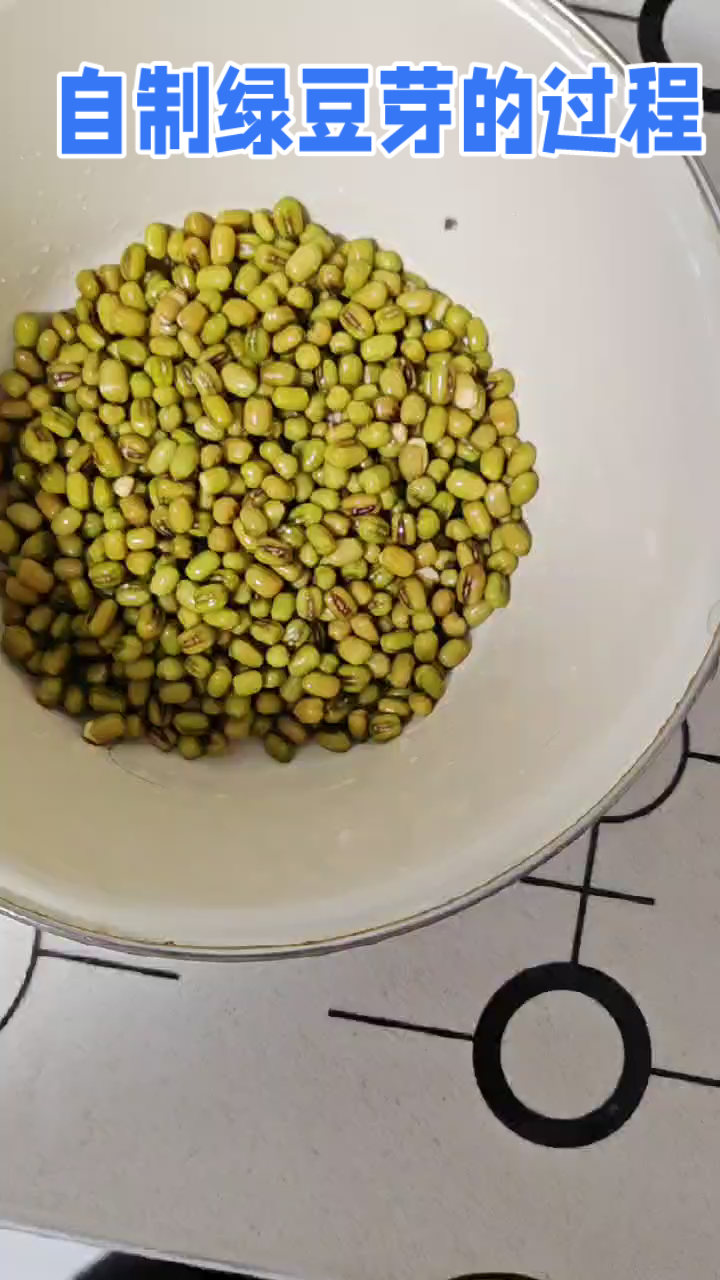 绿豆芽制作的全过程