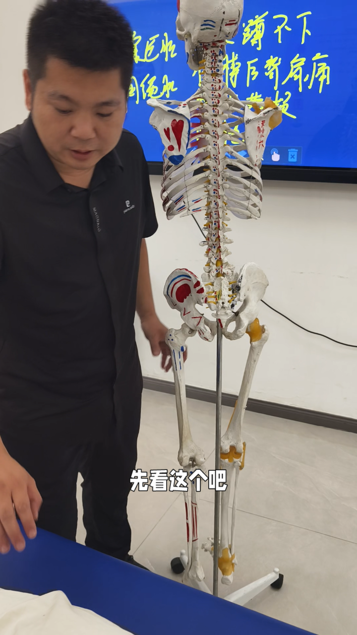 揭秘大腿后侧肌肉:腘绳肌的奥秘