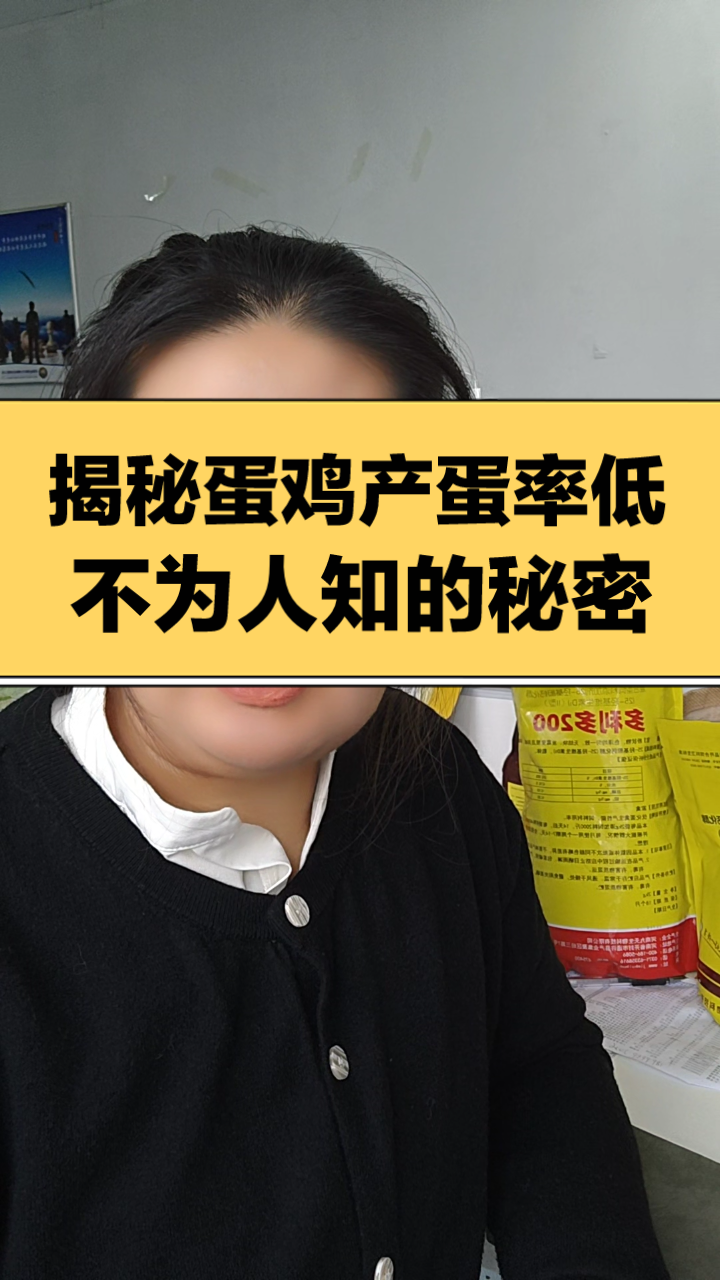 揭秘产蛋率下降真相