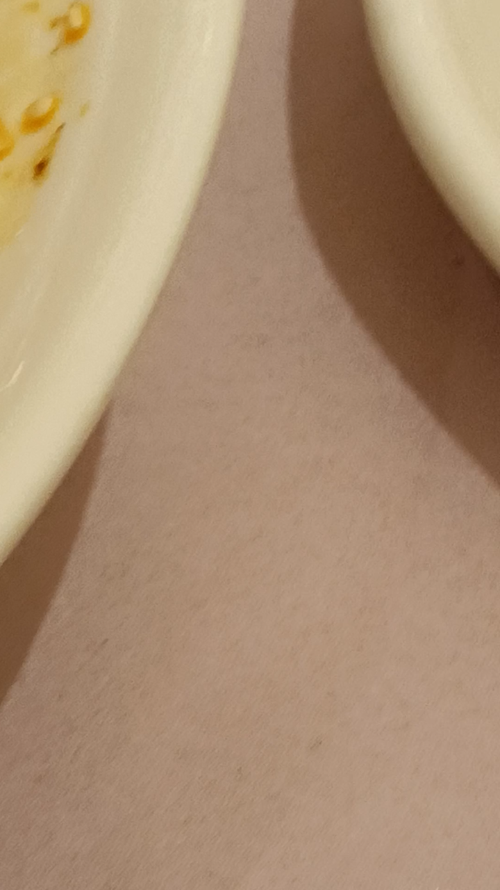 顺风大酒店素鲍鱼,“豆腐”造奇迹