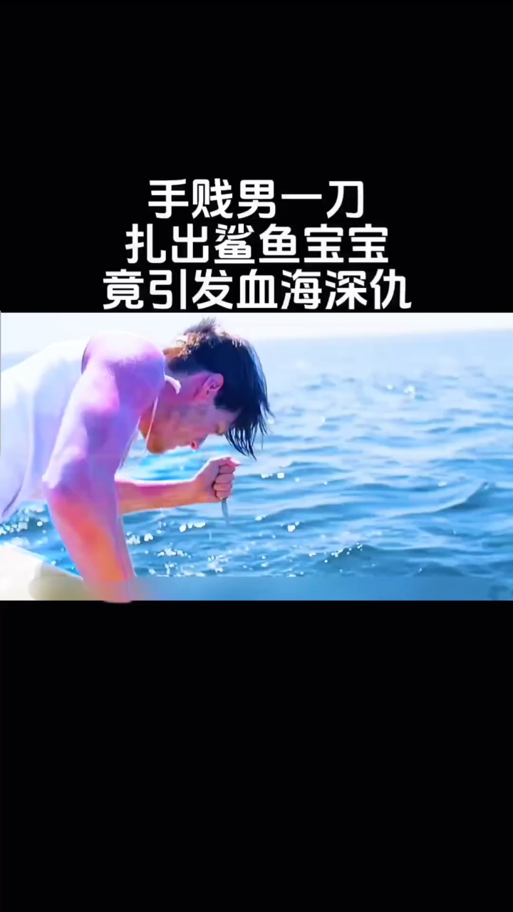 绝境求生:鲨鱼腹中夺食