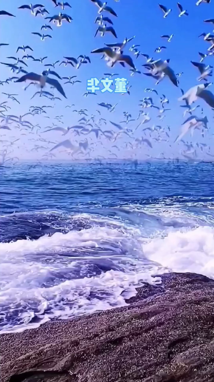 音乐视频,大海故乡