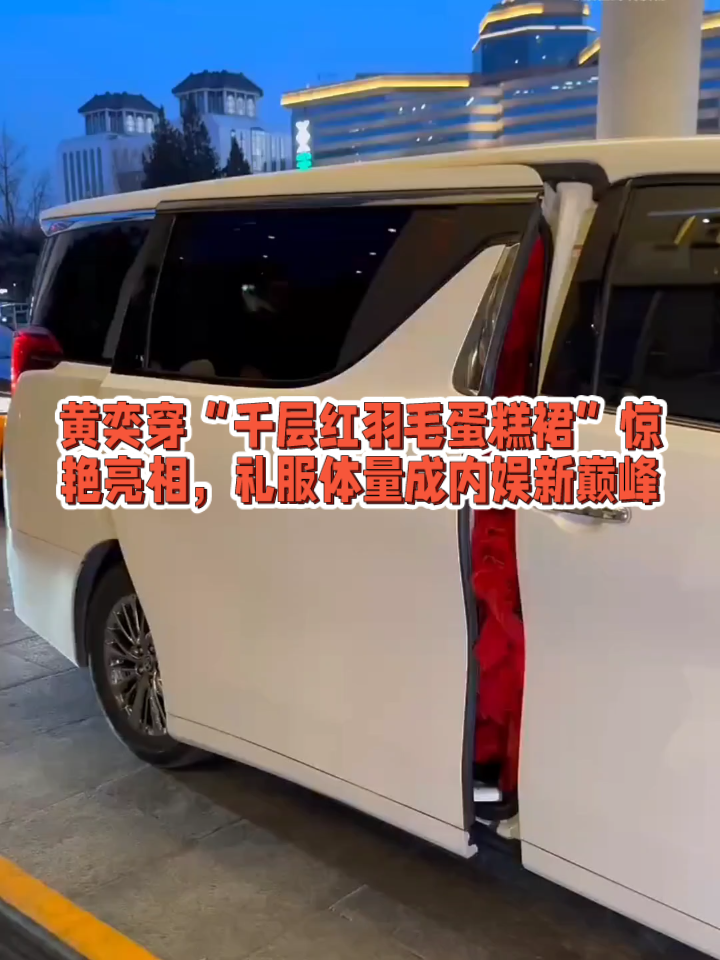 黄奕红羽毛蛋糕裙惊艳亮相