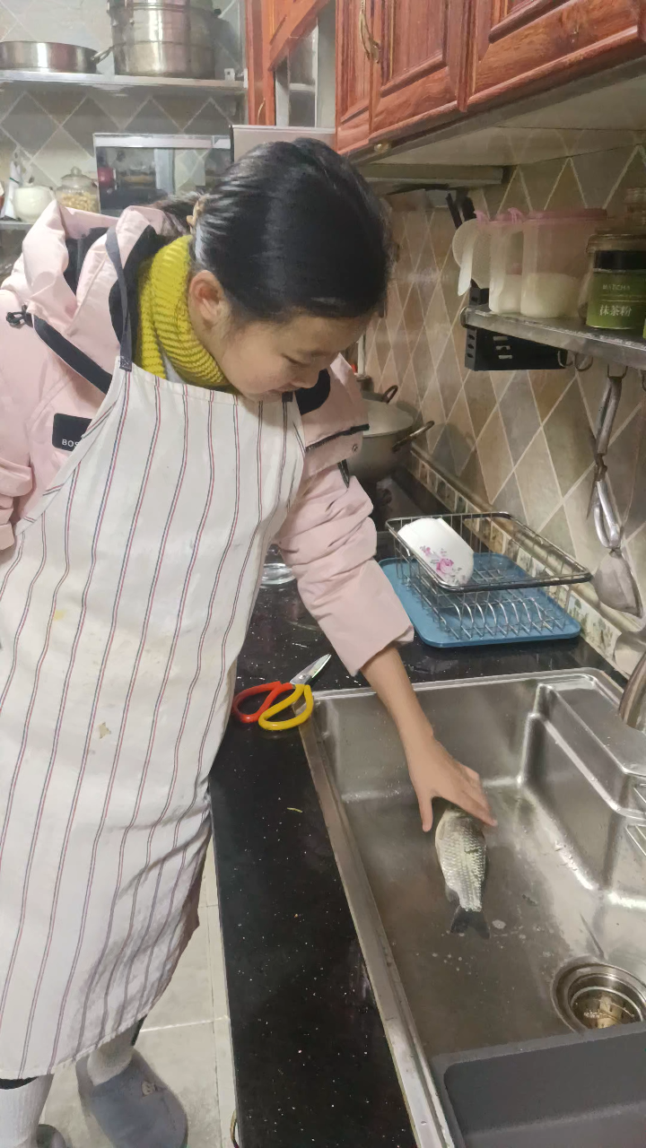 陶芊雅解剖鲫鱼视频