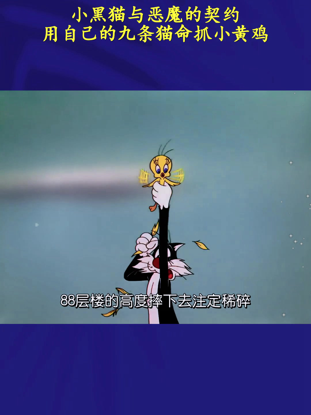 小黑猫与恶魔的契约,用自己的九条猫命抓小黄鸡