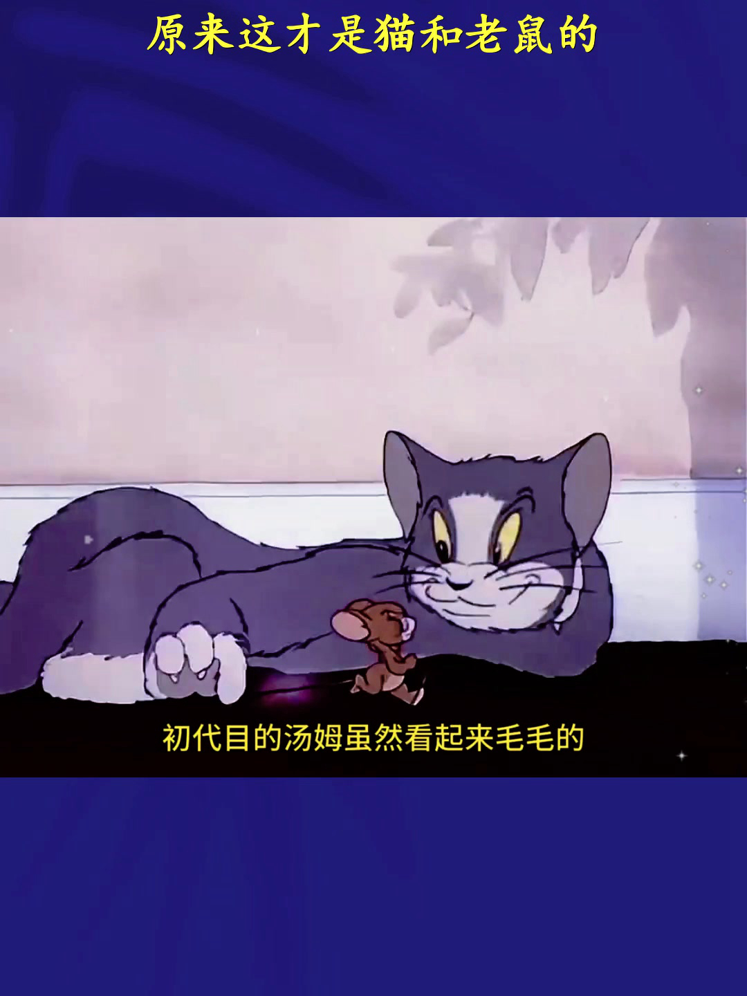 原来这才是猫和老鼠的