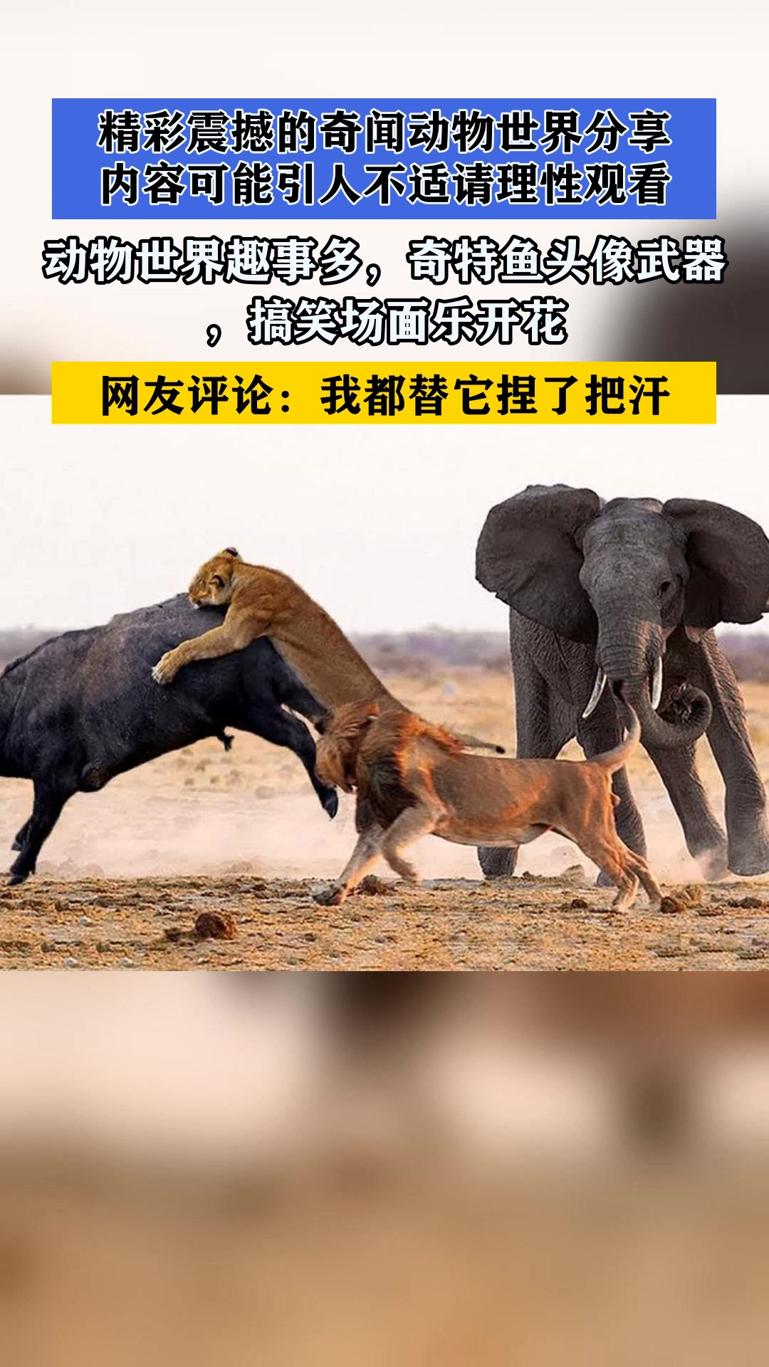动物世界趣事多,奇特鱼头像武器,搞笑场面乐开花 