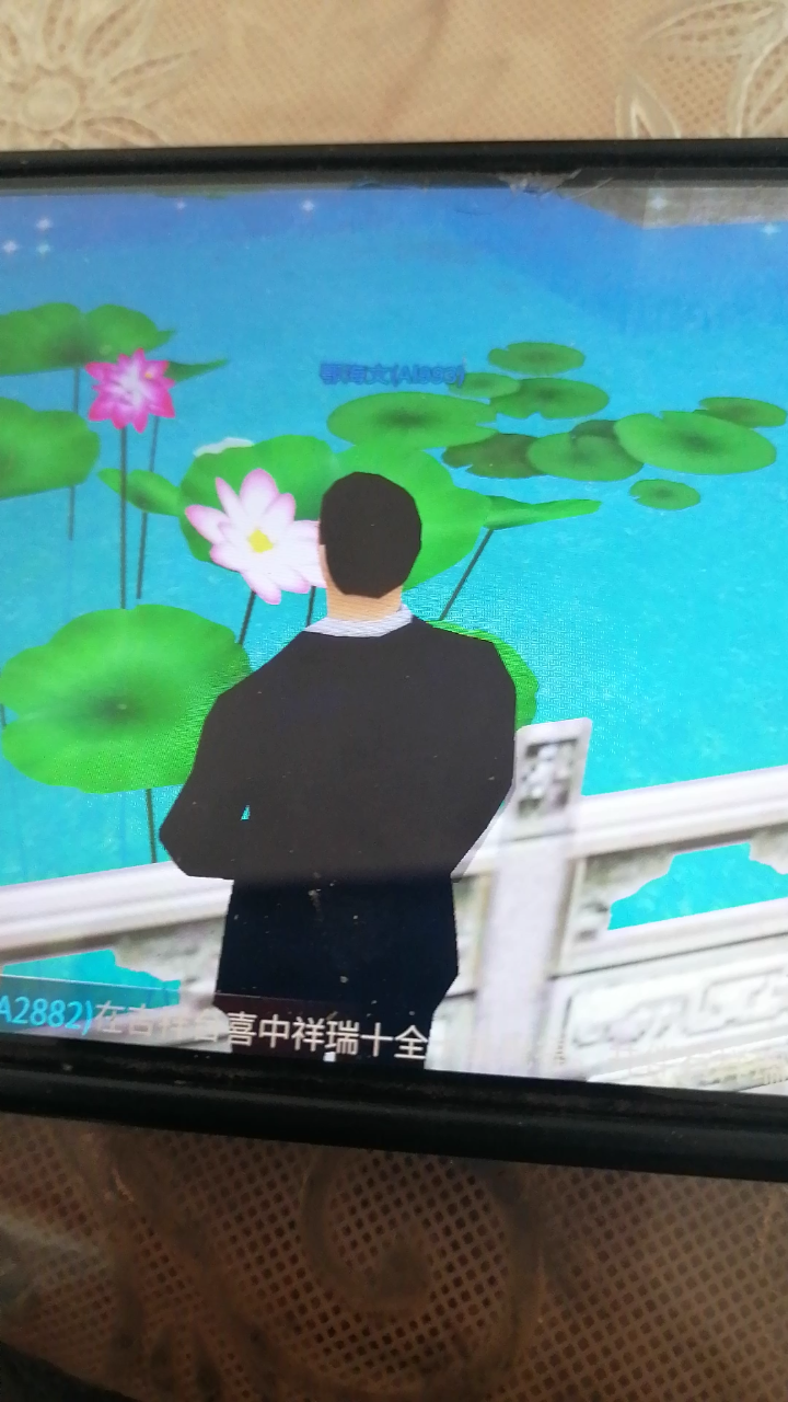 在荷花池观赏小鱼的游泳游动