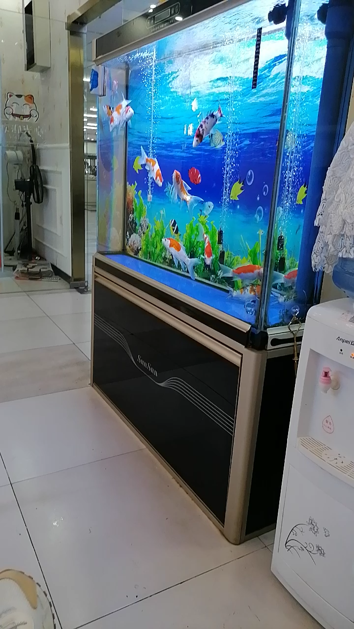 金鱼自由自在的游来游去