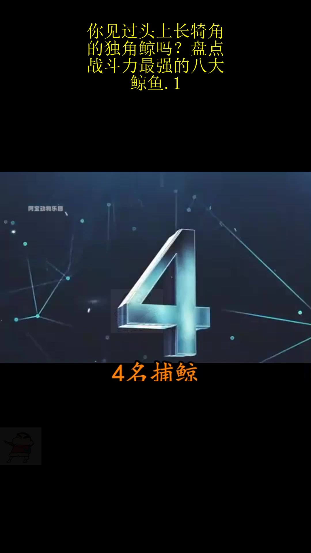 你见过头上长犄角的独角鲸吗?盘点战斗力最强的八大鲸鱼.1