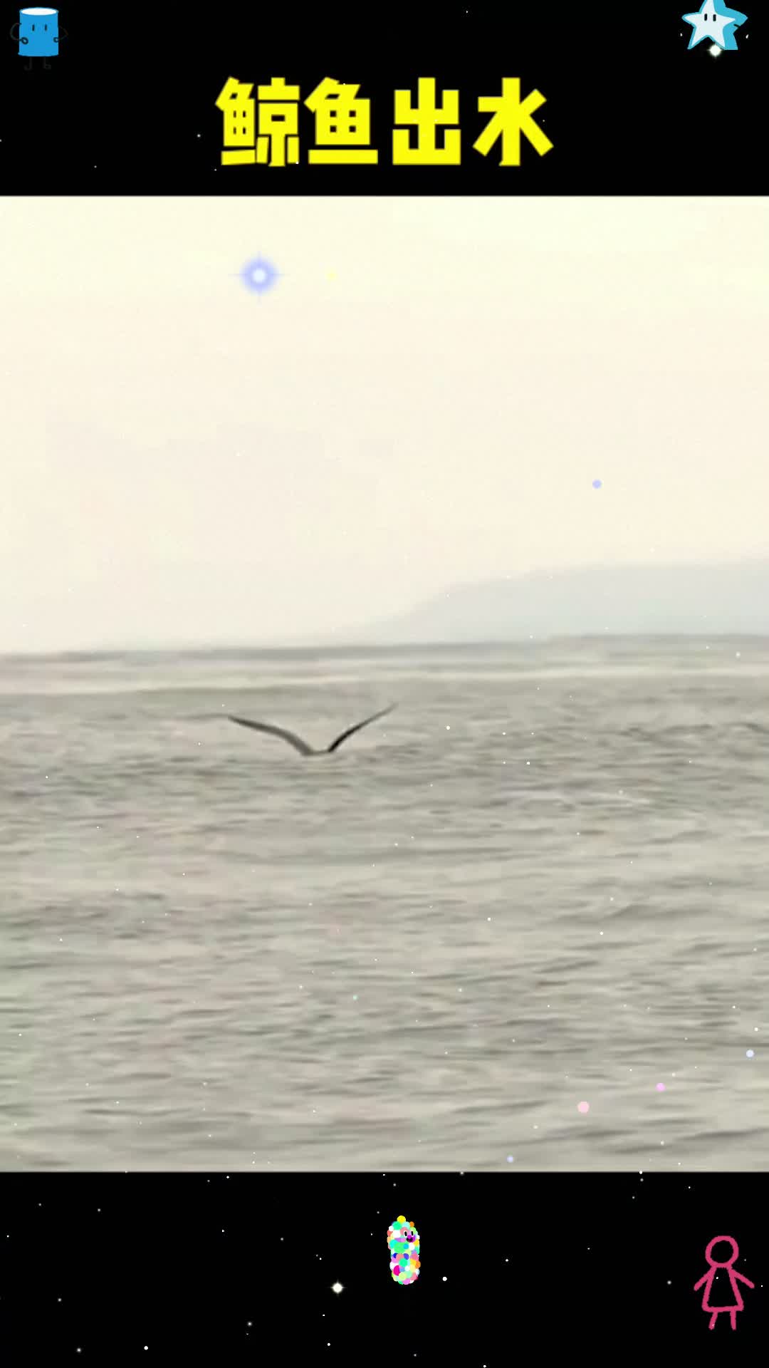 鲸鱼出水太壮观,但是身上都是藤壶,好想给它扣下来