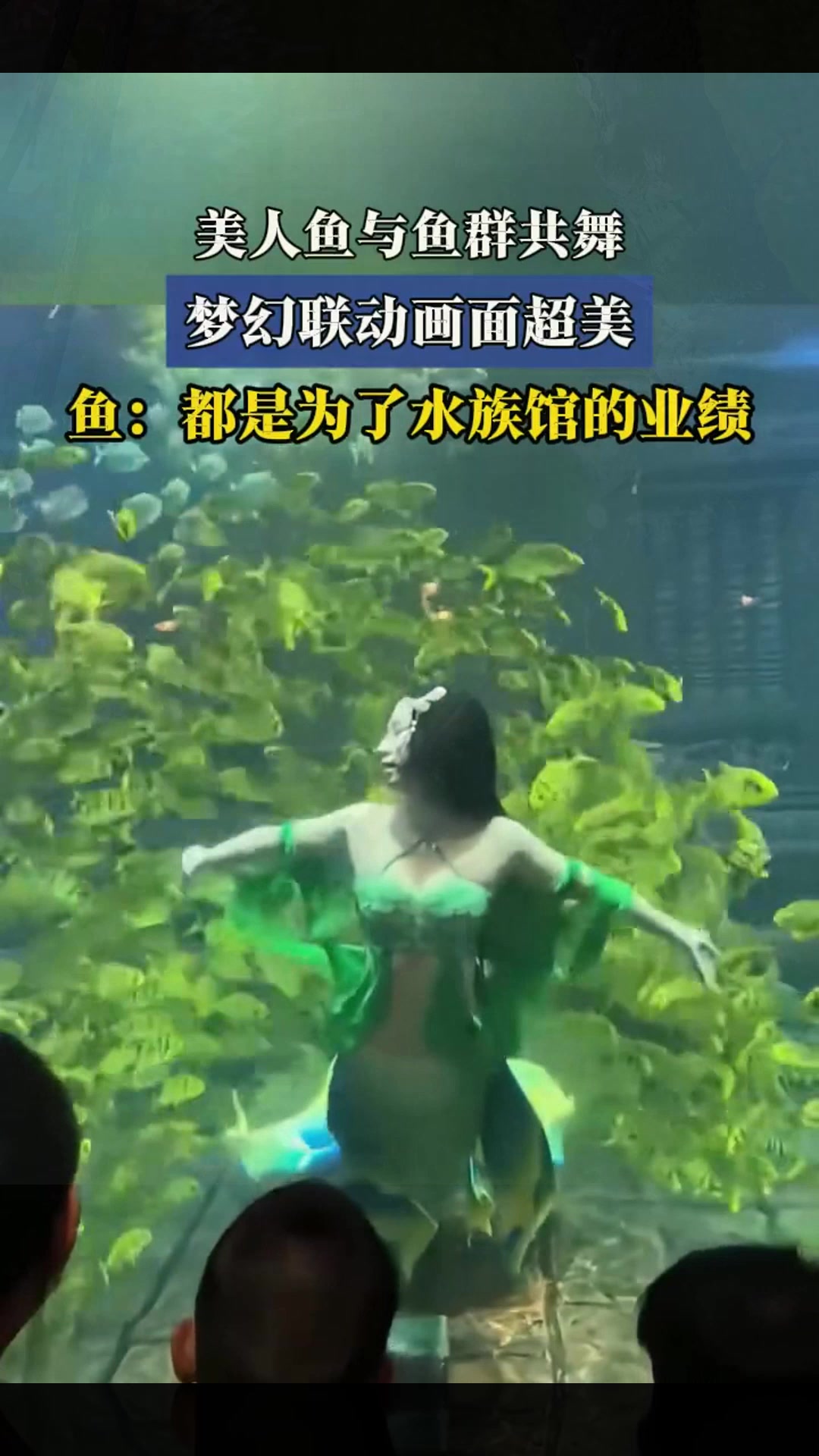 美人鱼与鱼群共舞,梦幻联动画面超美,鱼:都是为了水族馆的业绩