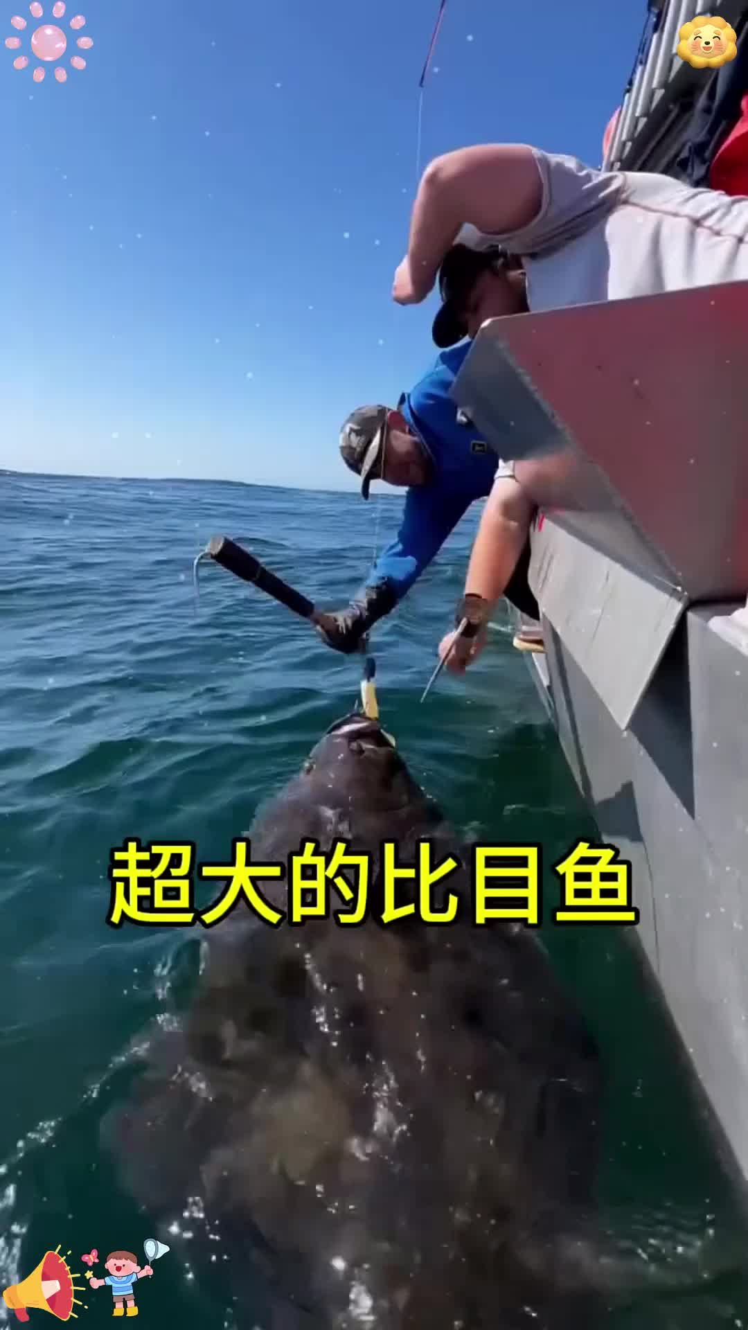 超大的比目鱼!!!