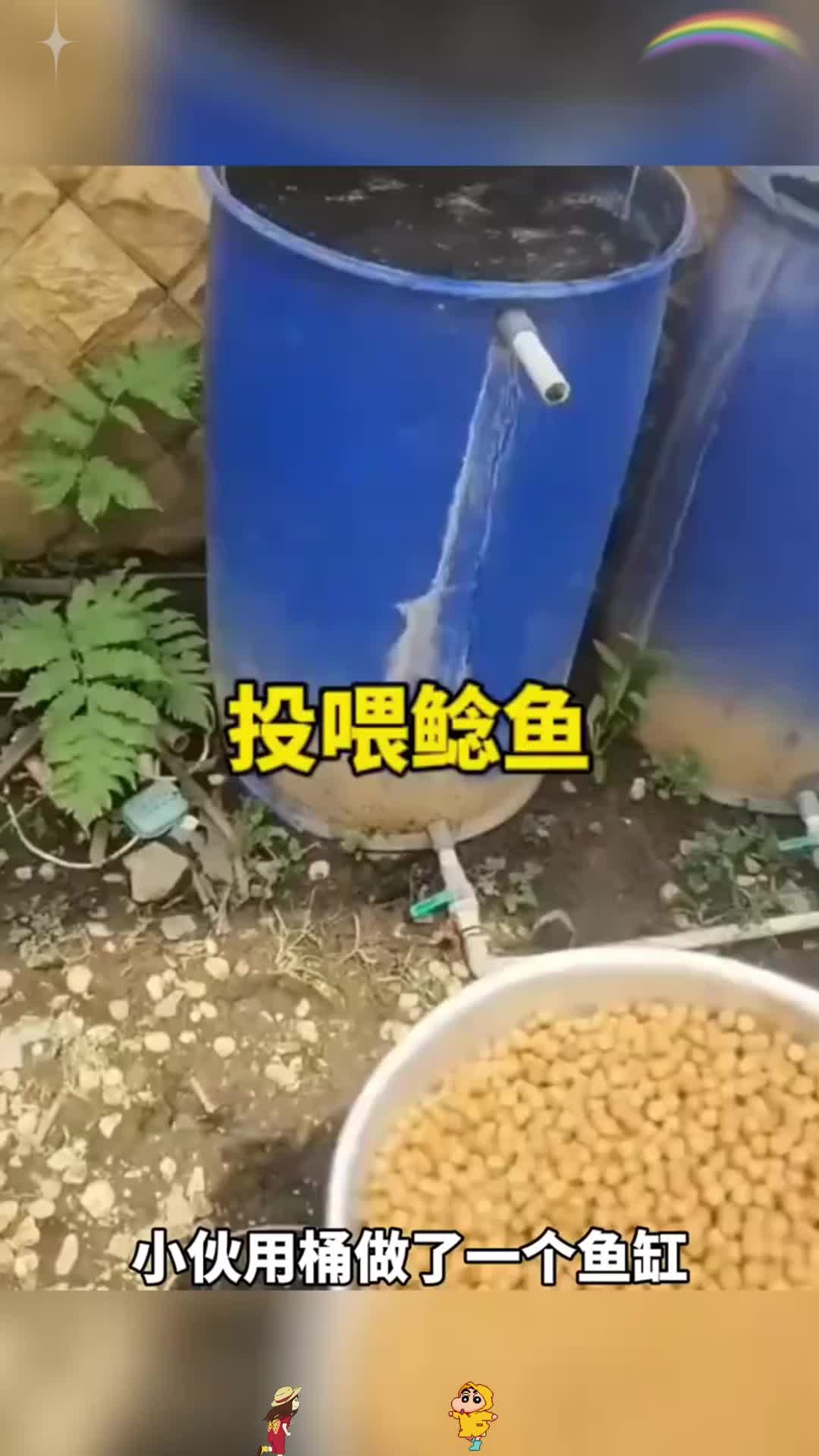 这鱼的生存能力挺强
