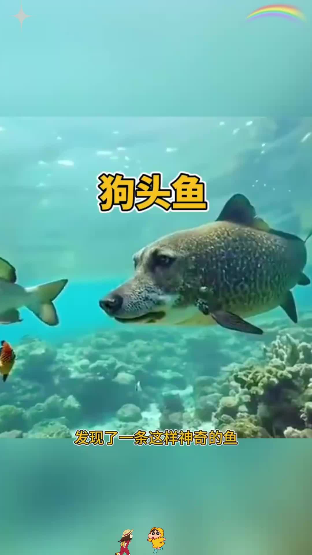 深海里的新品种,狗头鱼