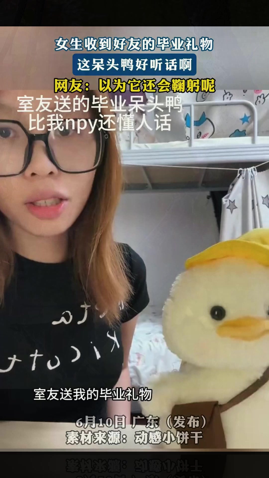女生收到好友的毕业礼物,这呆头鸭好听话啊,以为它还会鞠躬呢