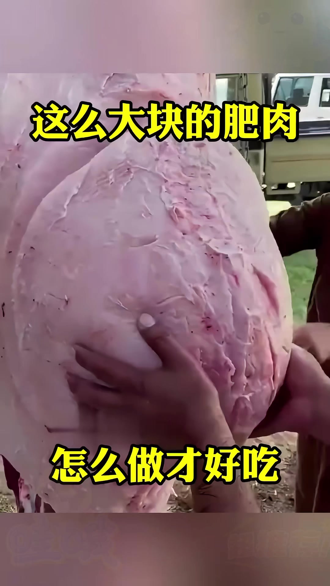 这么大块的肥肉,怎么做才好吃?