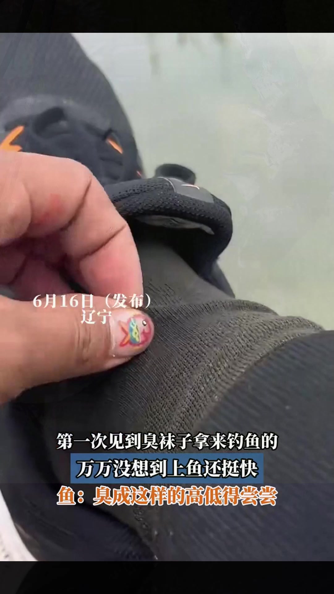 第一次见到臭袜子拿来钓鱼的,万万没想到上鱼还挺快