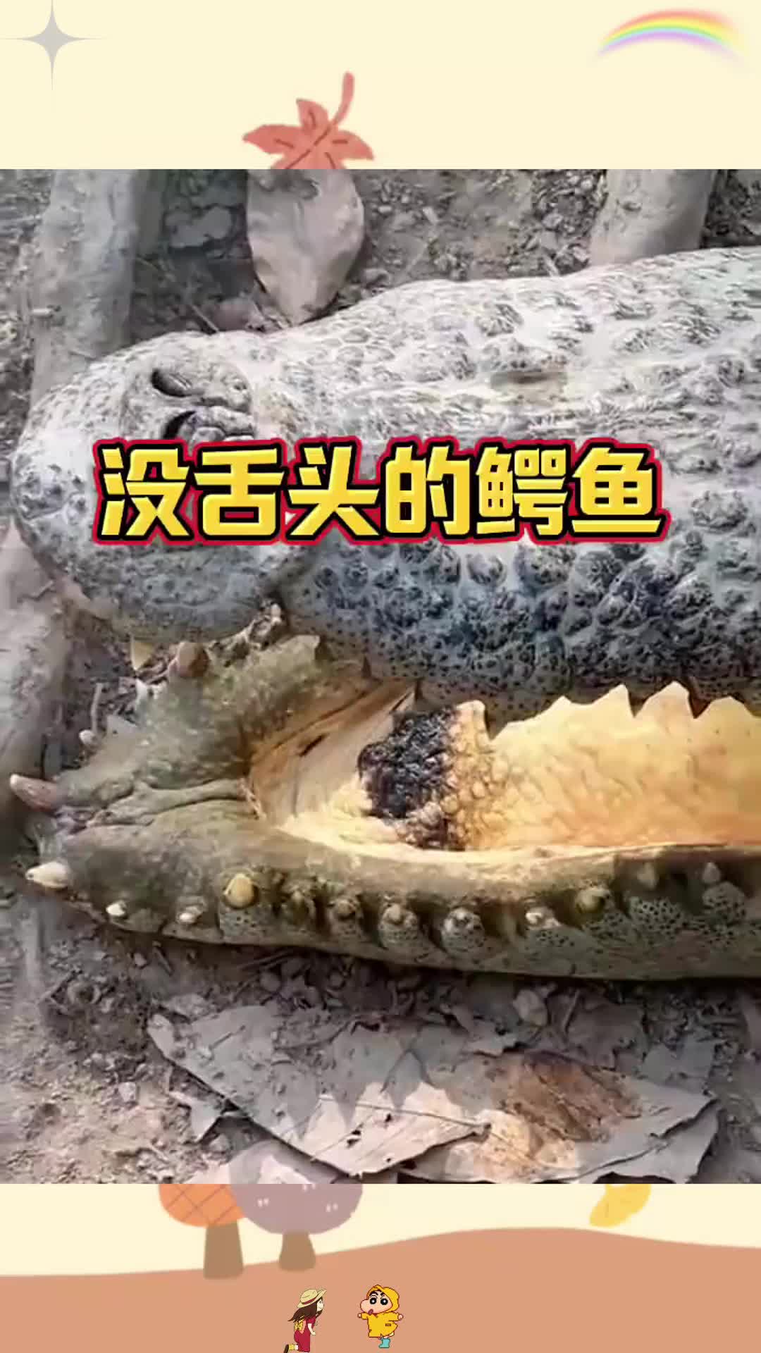 没舌头的鳄鱼，该怎么吃饭