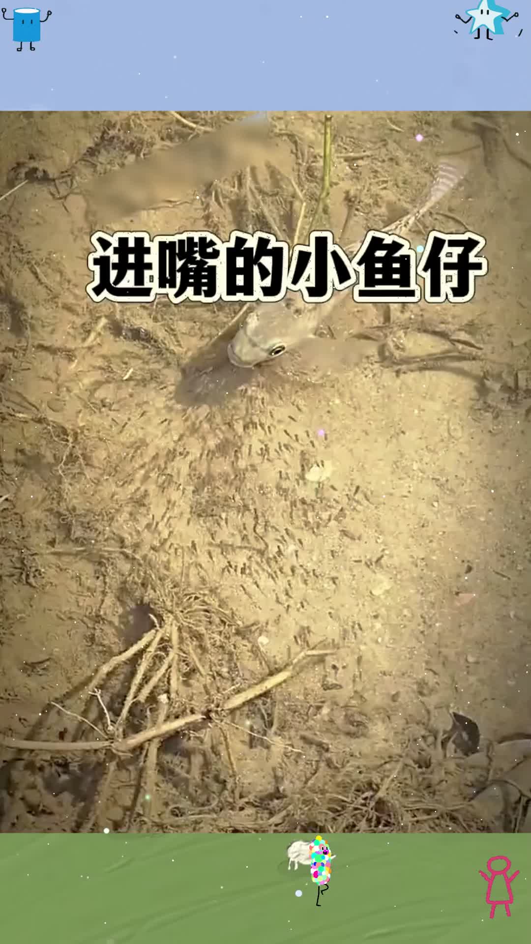进嘴的小鱼仔，妈妈保护的真好