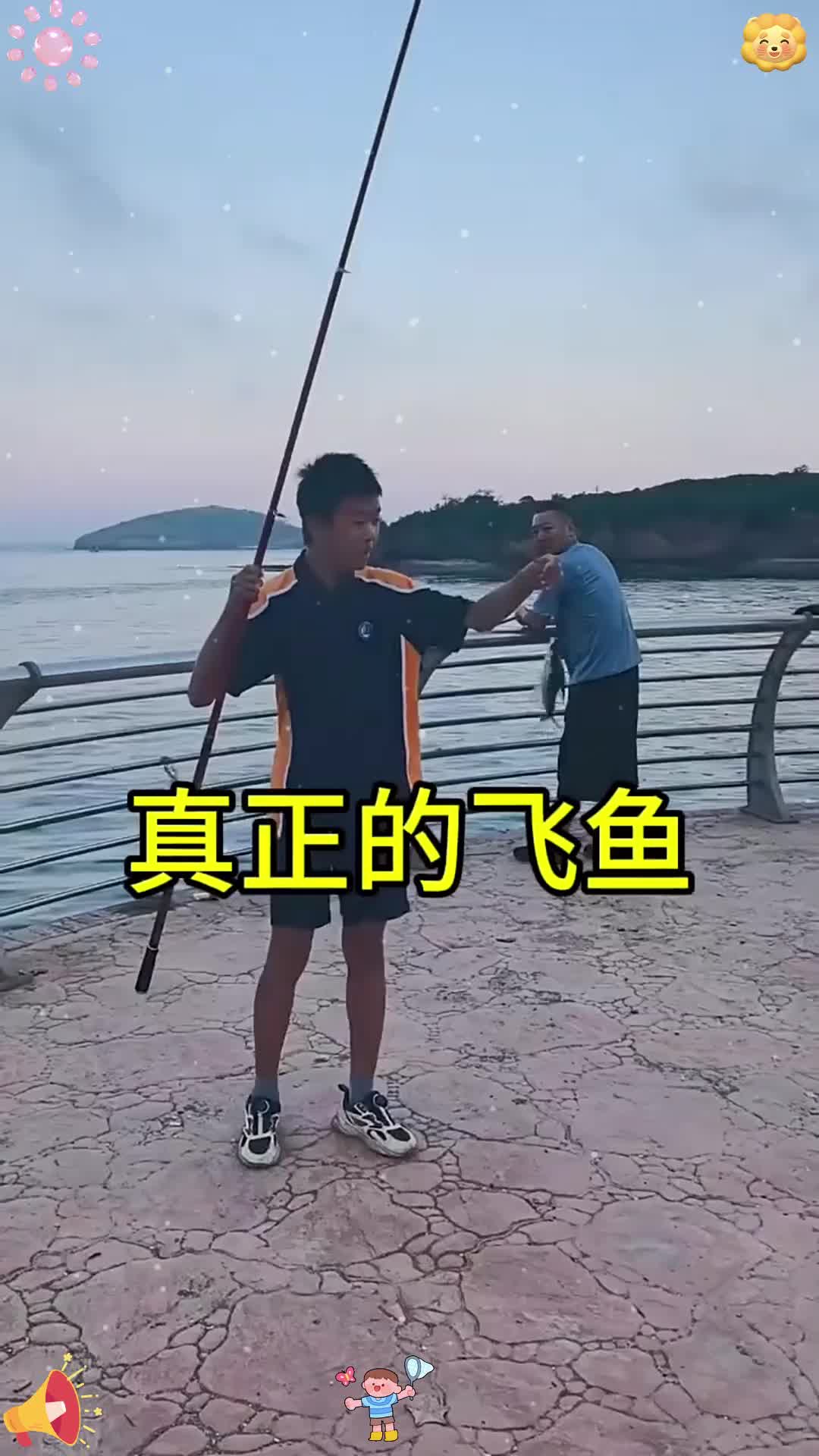 真正的飞鱼！！！