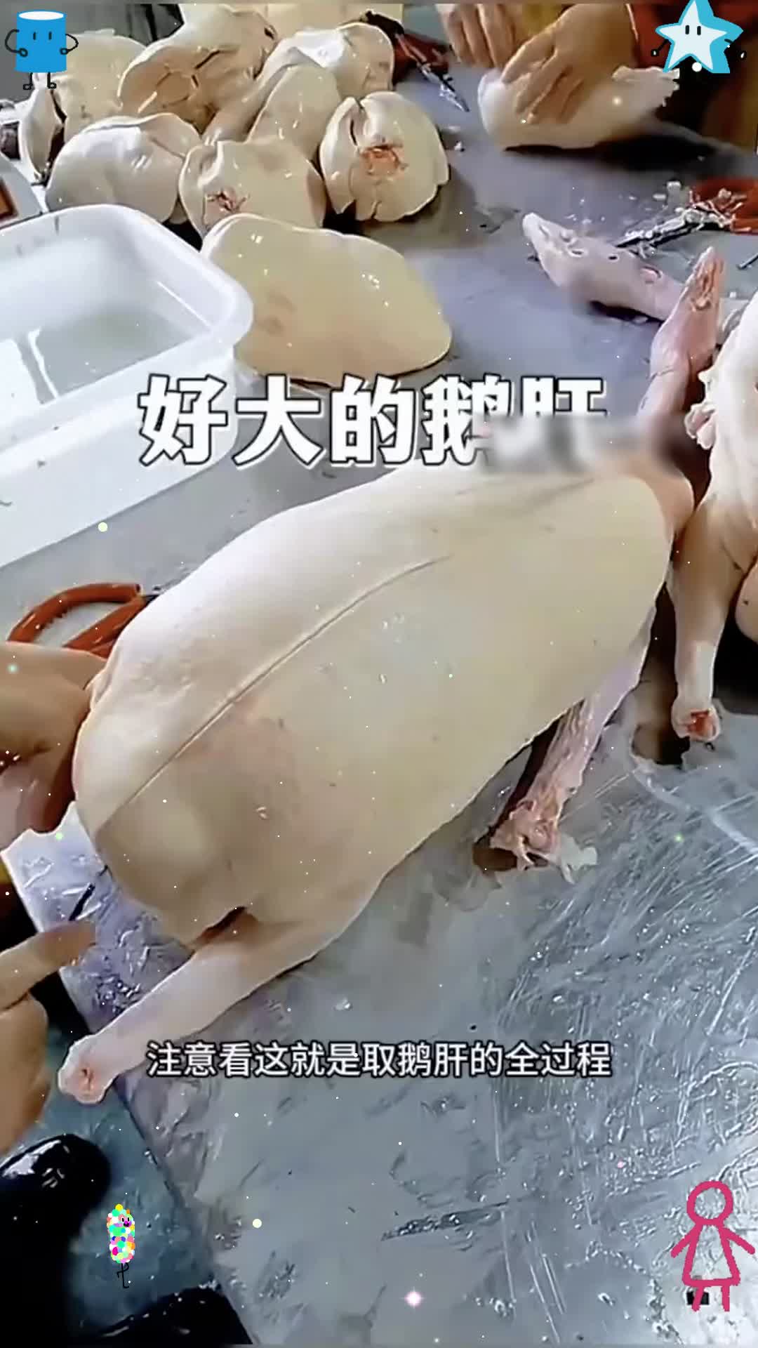 好大的鹅肝，大开眼界了