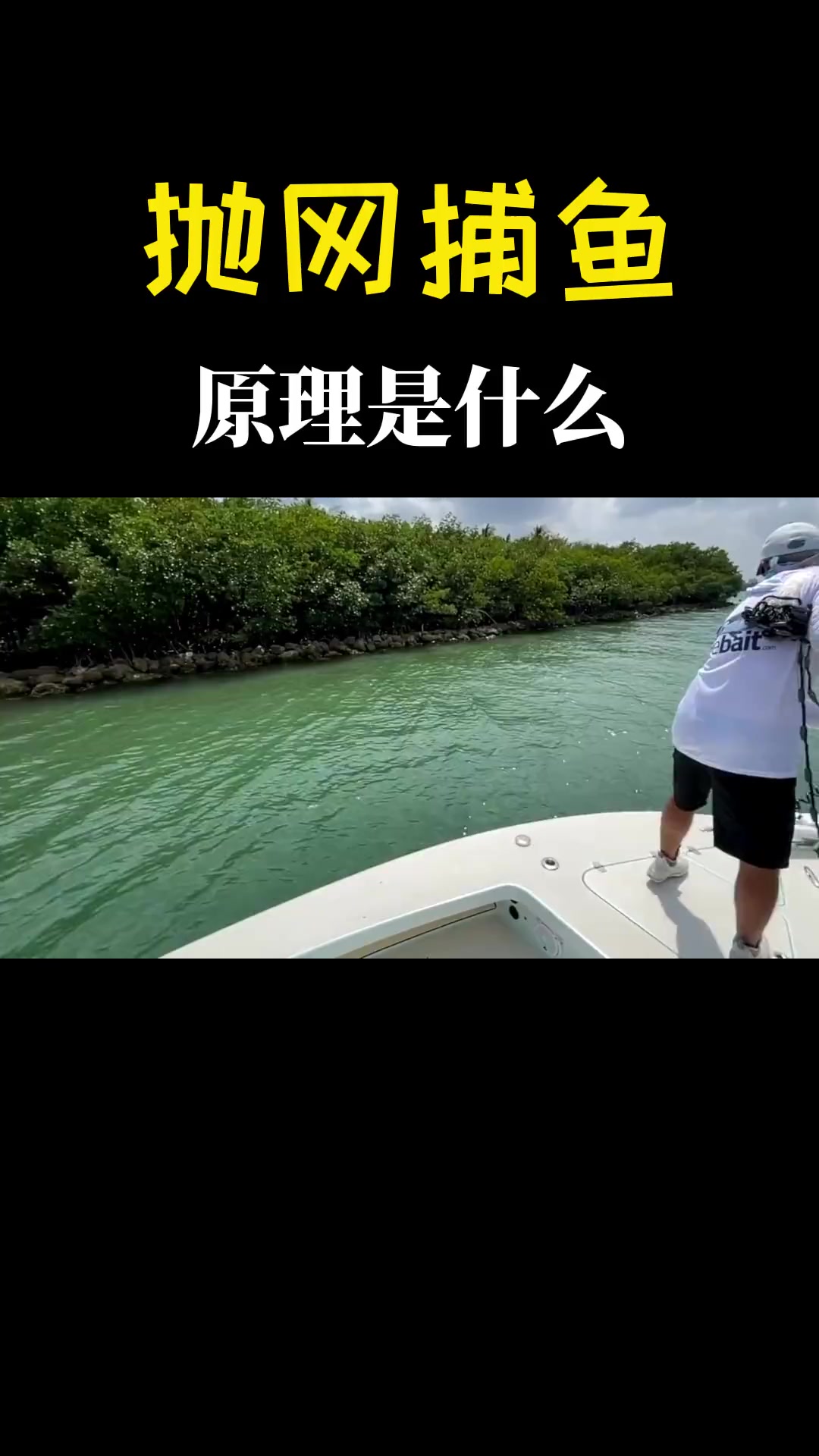 下面分明是空的，抛网为什么能把鱼抓上来，进入水下看个清楚 