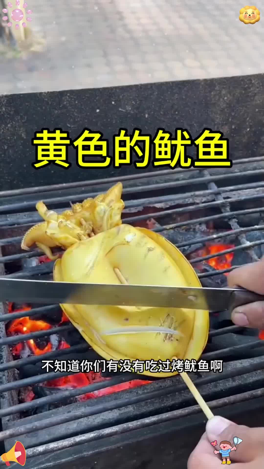为什么还有黄色的鱿鱼啊？