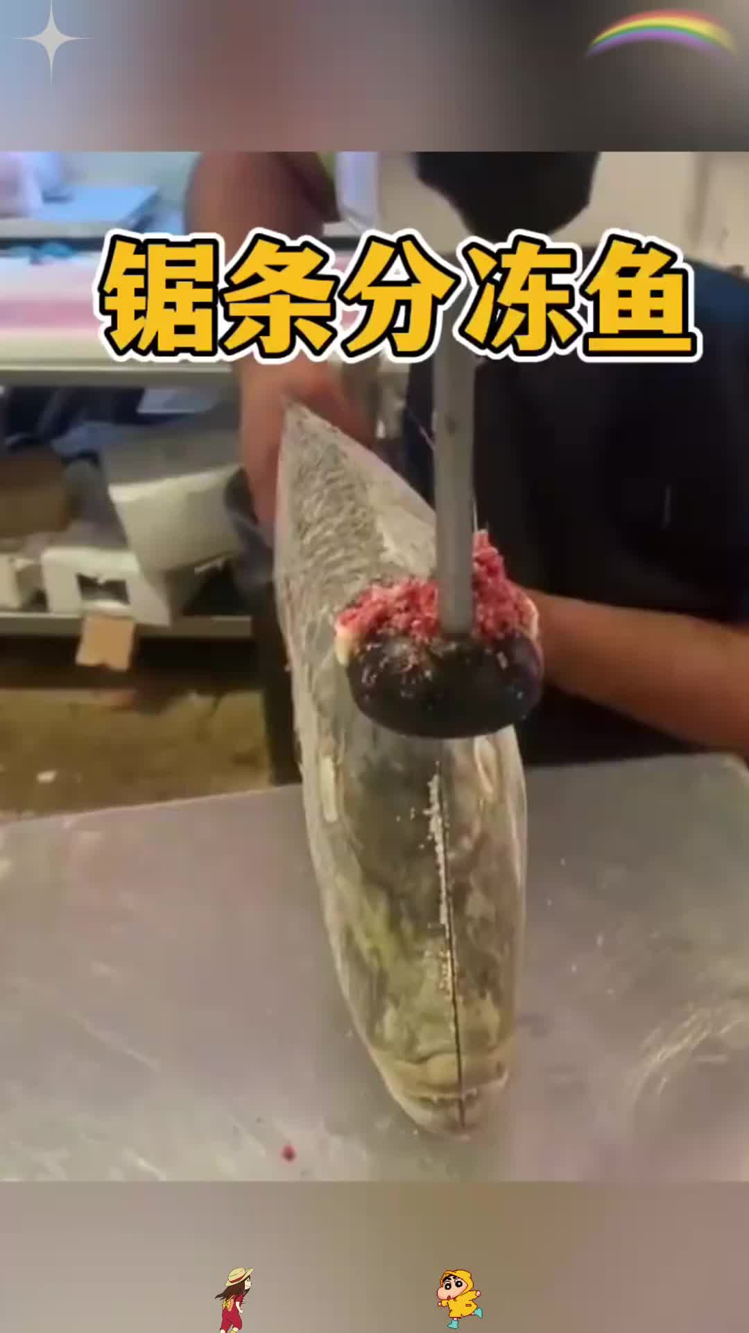 国外小伙锯条分冻鱼，厉害了