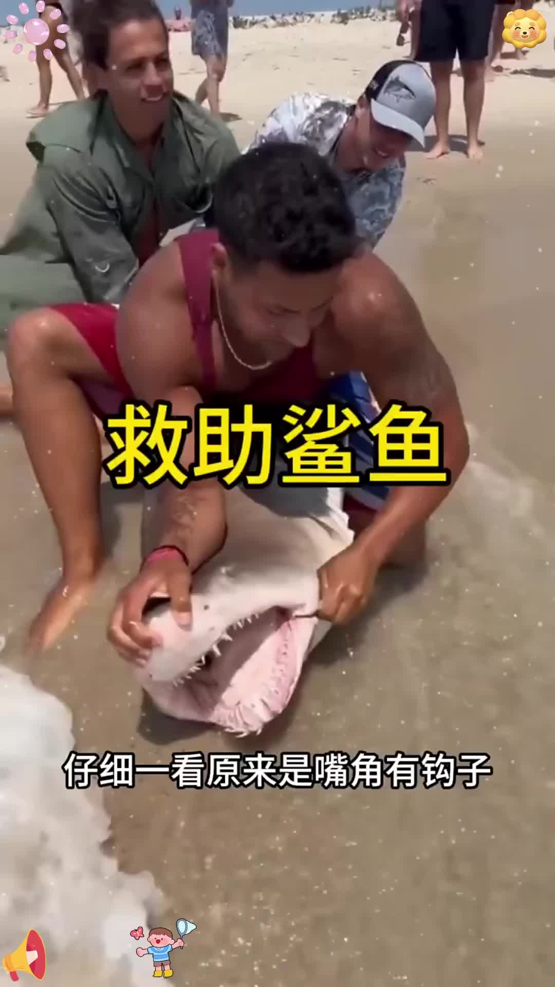 这要是碰到心肠不好的，估计就成鱼翅了。