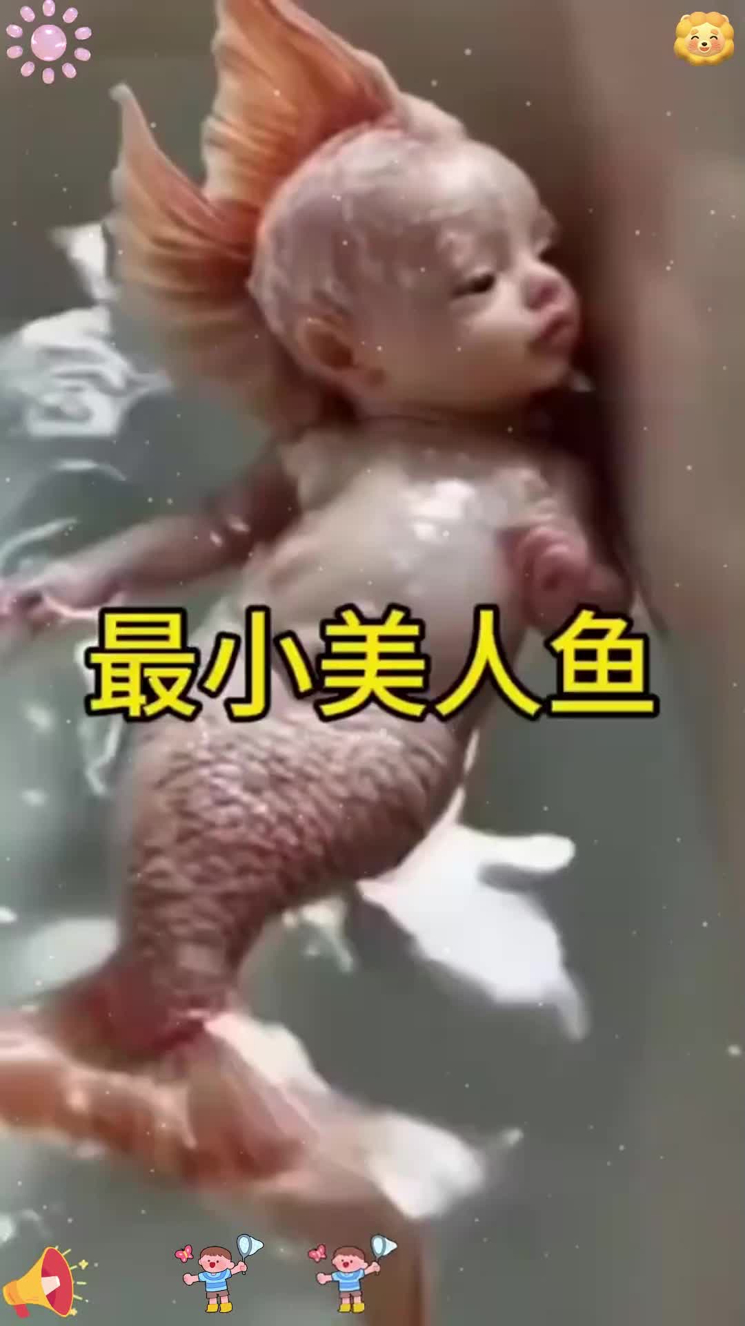 这是不是美人鱼啊