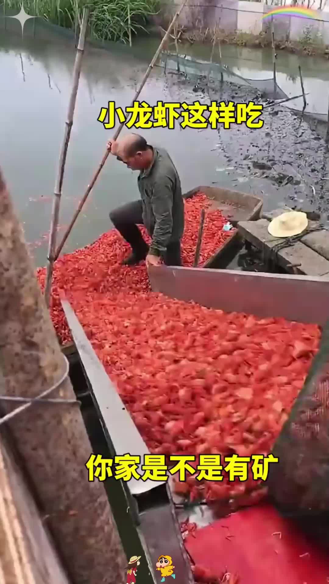 小龙虾这样吃，你家是有矿吗？