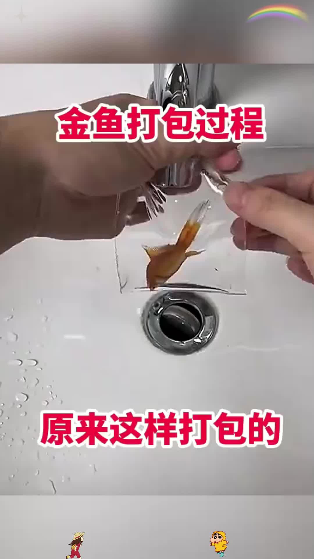 金鱼打包过程，原来这样打包的！