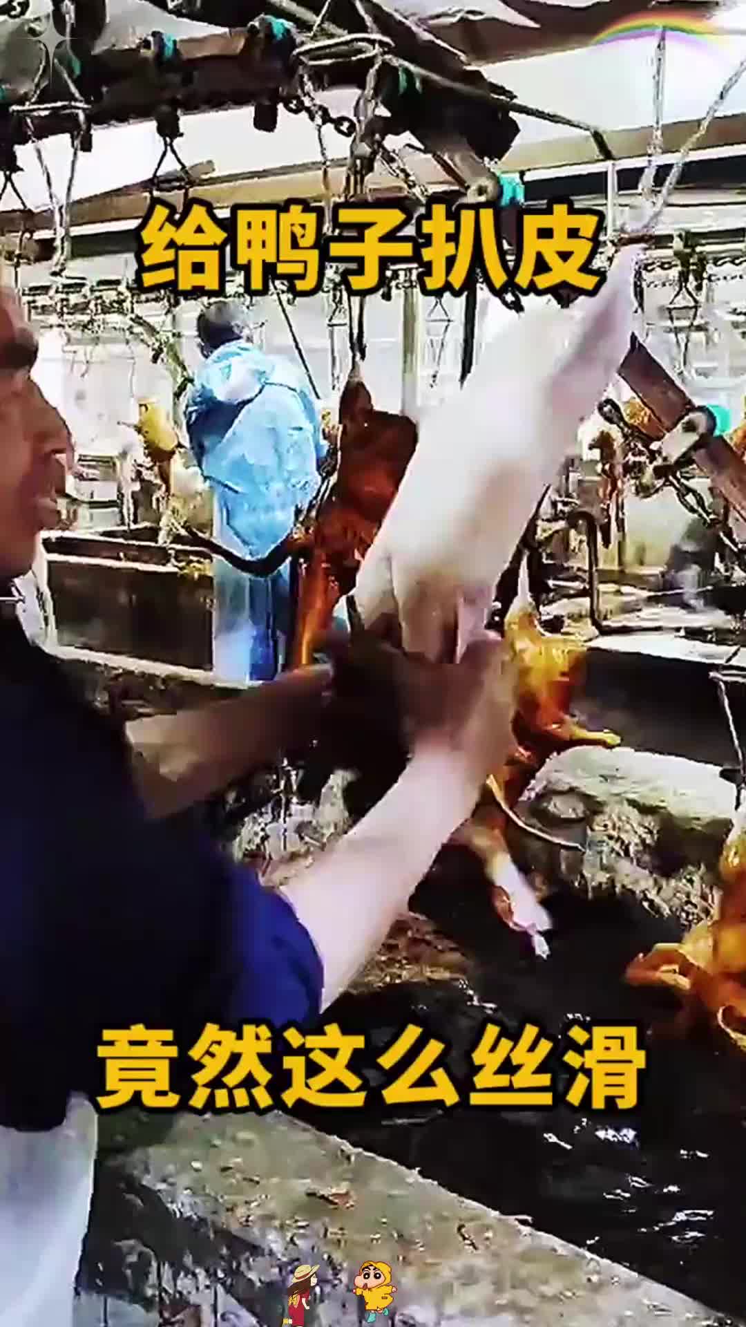 给鸭子扒皮，竟然这么丝滑