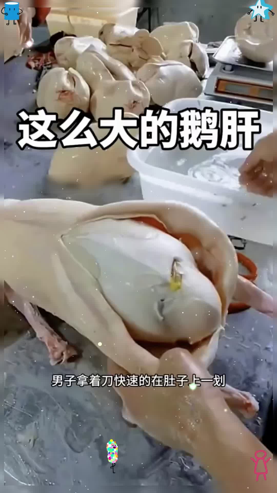 这么大的鹅肝,还是第一次见