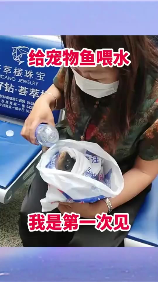 给宠物鱼喂水,我还第一次见!