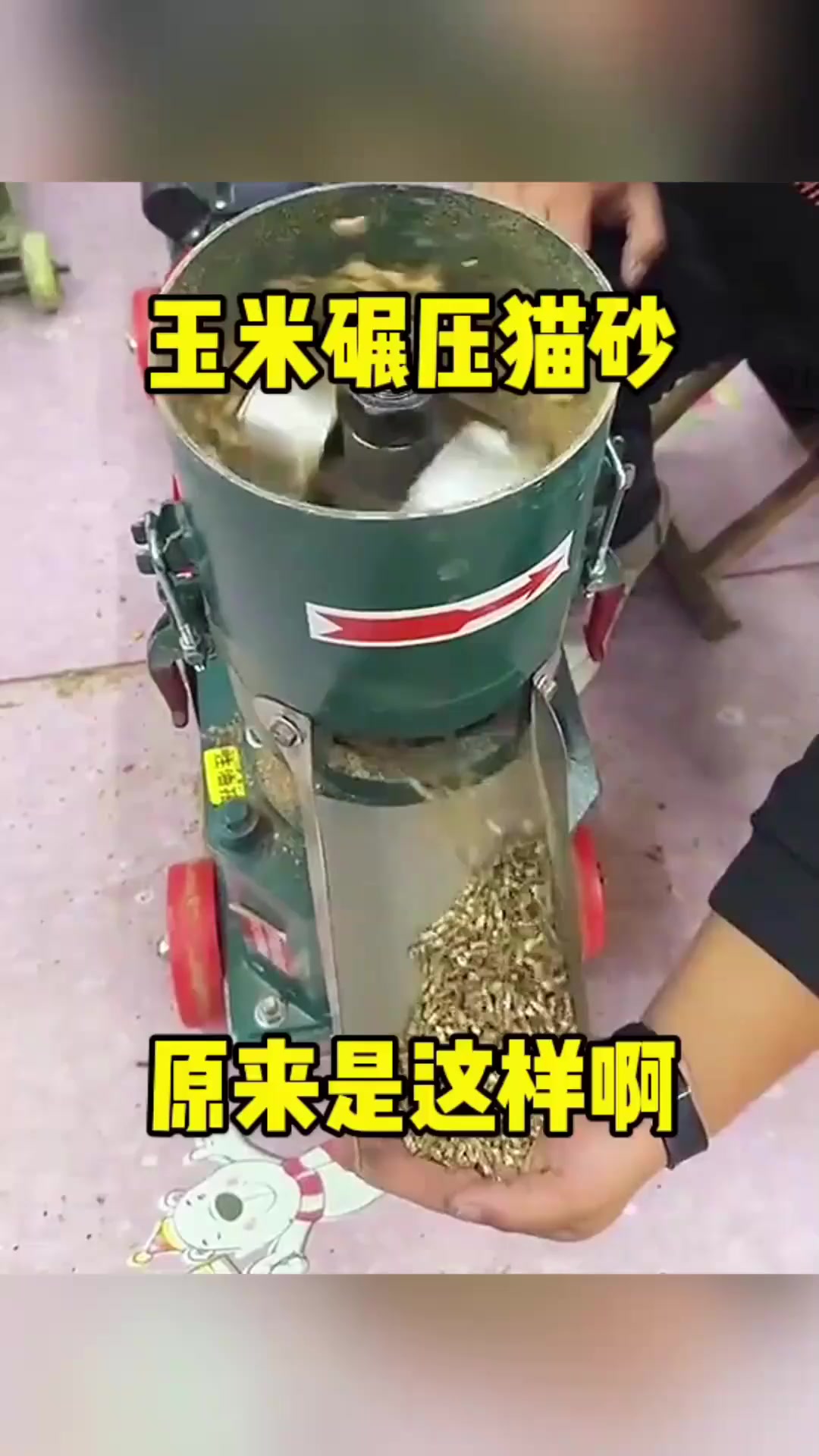 探秘猫砂生产秘密:锯末与玉米籽儿的结合,粮食是否被浪费?