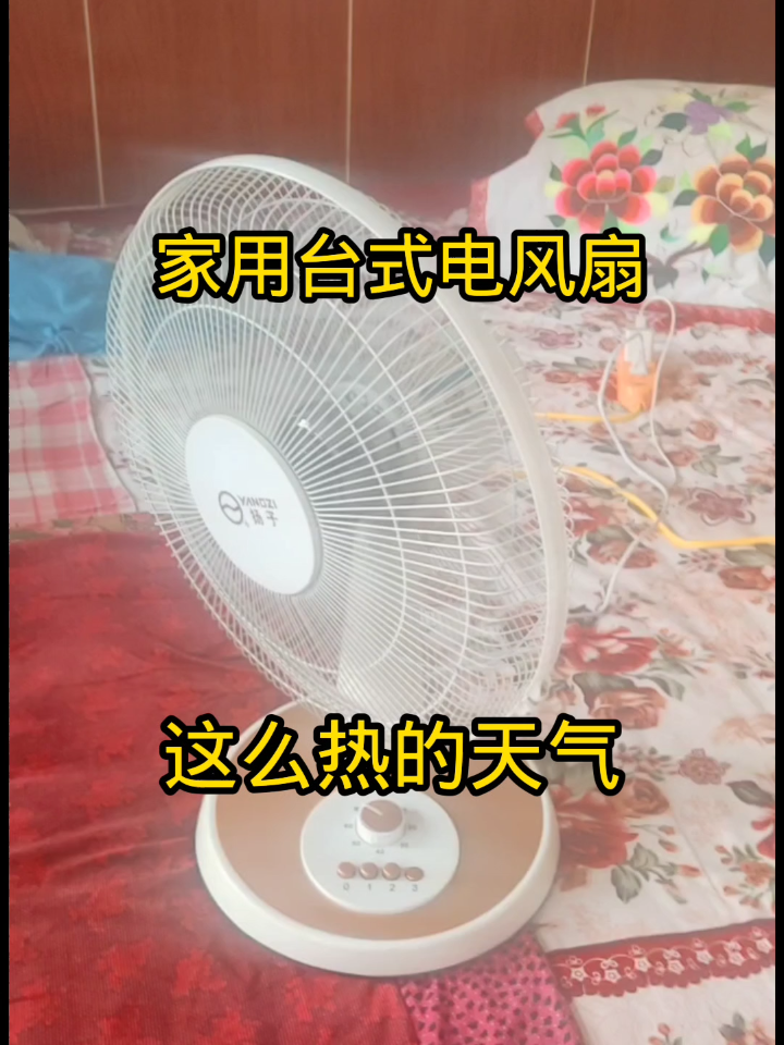 特别适合橱房用的电风扇