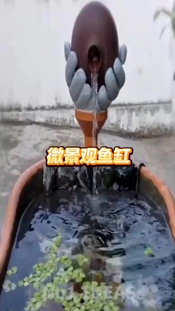 生活小妙招，教你制作微景观鱼缸，好玩又有趣，快来试试吧