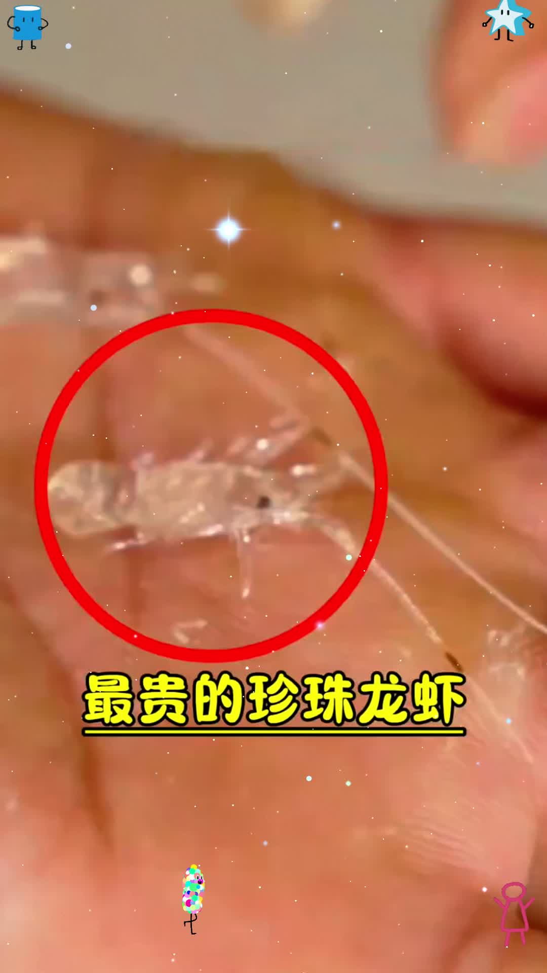 这是最贵的珍珠龙虾