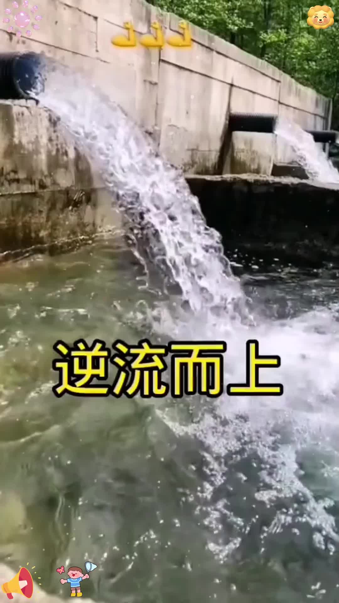 看着鱼儿逆流而上，应该就是跃龙门吧