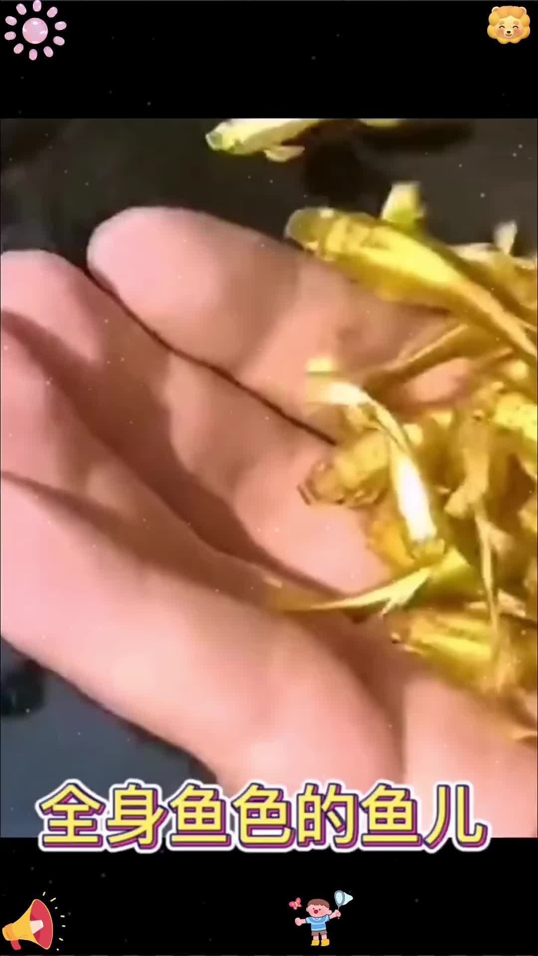 山里的小溪里面居然会有这种小鱼